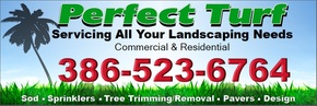 Perfect Turf Home Improvement, Repair & Maintenance Services